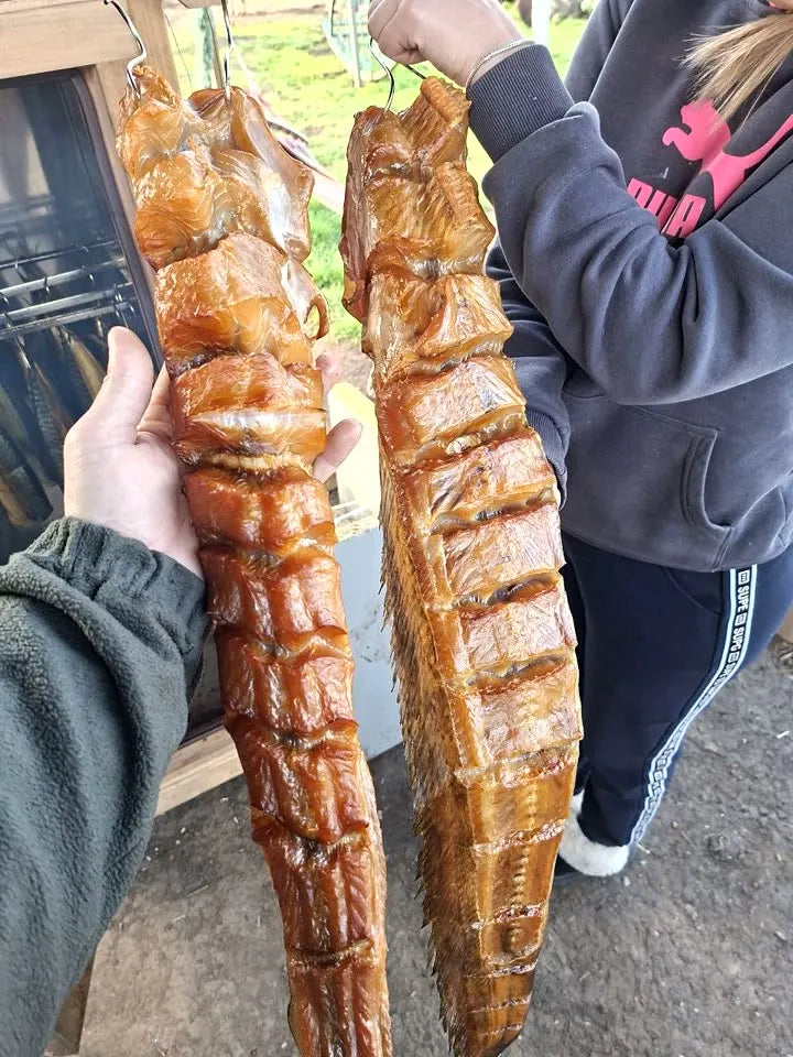 Große Stücke geräuchertes Fleisch — Heißräuchern, Räucherofen DREVOS Classic