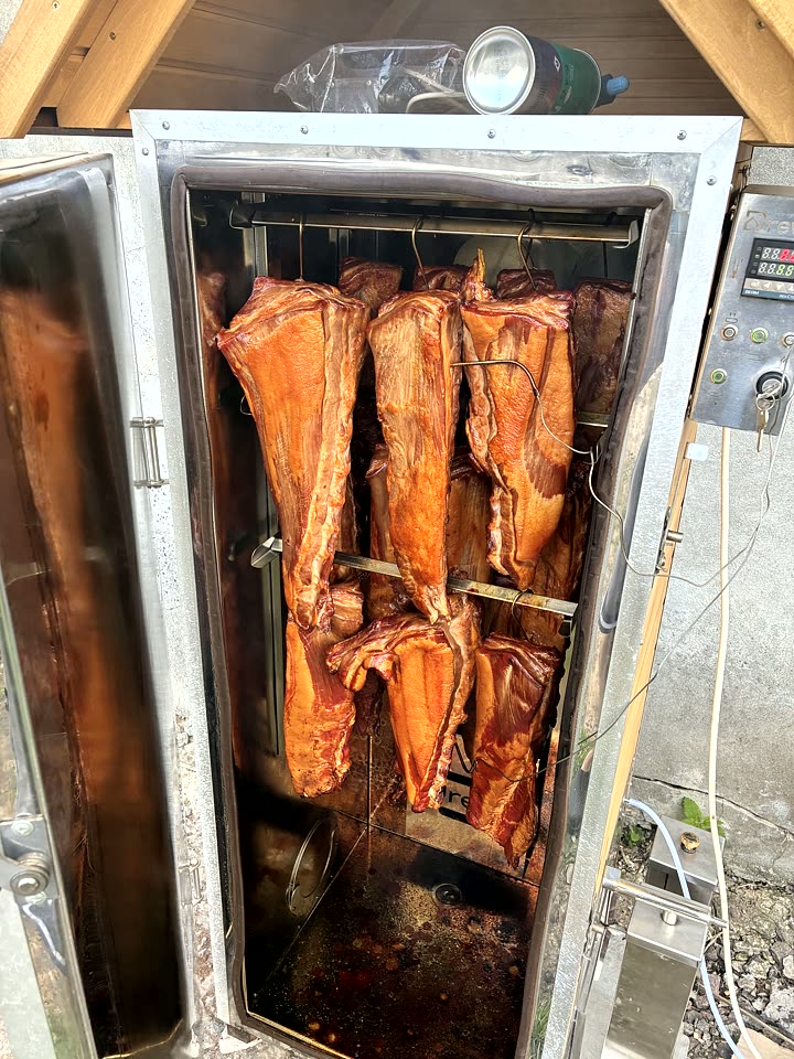 Fische und Balyk — Heißräuchern, Räucherofen DREVOS Family PRO