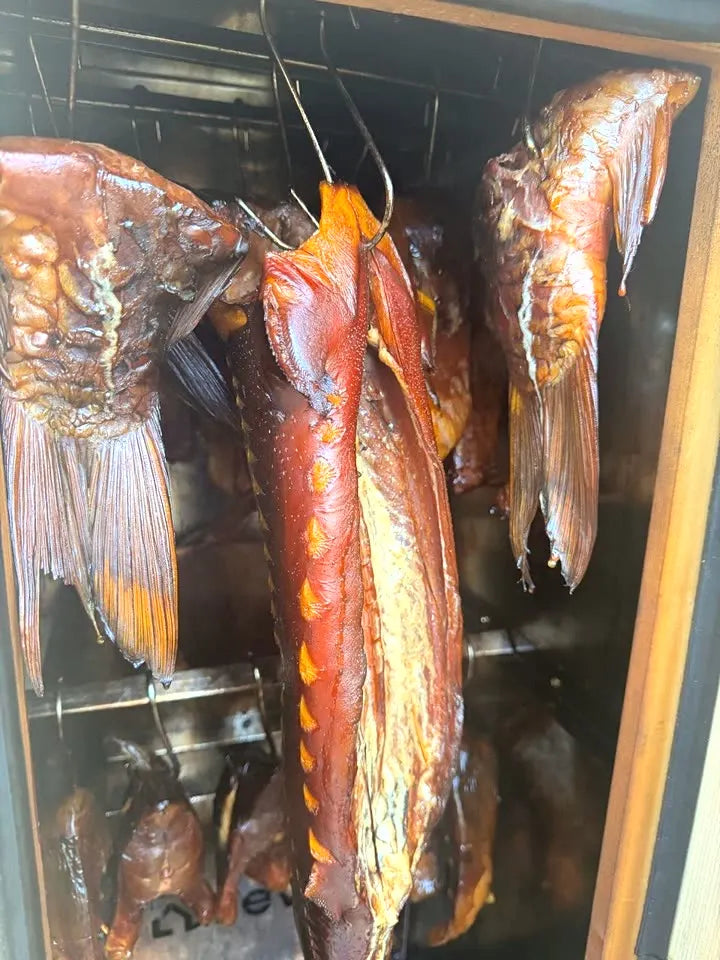 Heißgeräucherte Fische im Räucherofen DREVOS Family