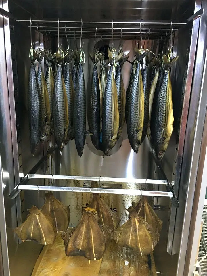 Makrele — Heißräuchern, Räucherkammer DREVOS Smoke Chamber 50
